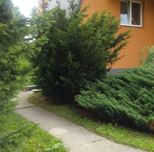 U Janusza * نوفه تارخ